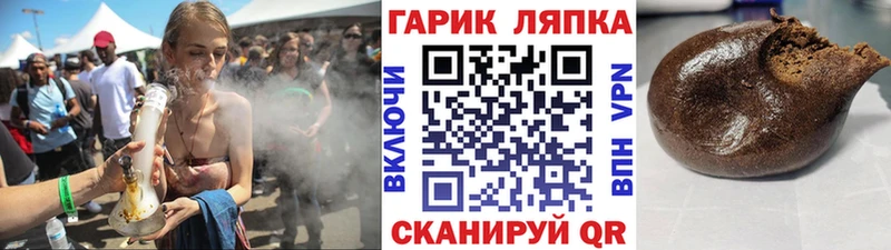 как найти   Павловск  ГАШ Изолятор 