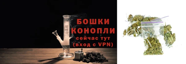 Альфа ПВП Нея