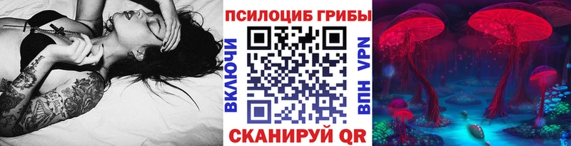 Псилоцибиновые грибы мицелий  дарнет шоп  Павловск 