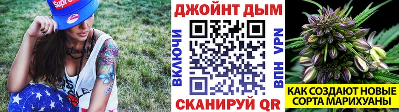 закладки Павловск Канабис SATIVA & INDICA